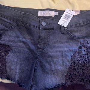 Brand new torrid shorts